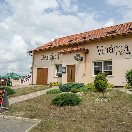 Hotel Penzion Vinarna U Hroznu à Veselí nad Moravou Extérieur photo