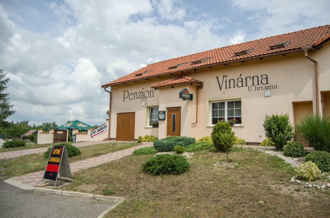 Hotel Penzion Vinarna U Hroznu à Veselí nad Moravou Extérieur photo
